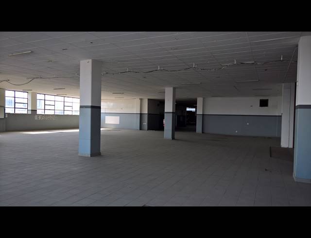 1,230M² WAREHOUSE TO LET IN WYNBERG